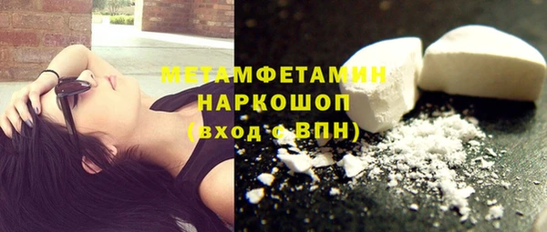 ГАЛЛЮЦИНОГЕННЫЕ ГРИБЫ Аркадак