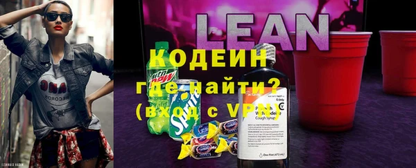 ГАЛЛЮЦИНОГЕННЫЕ ГРИБЫ Аркадак