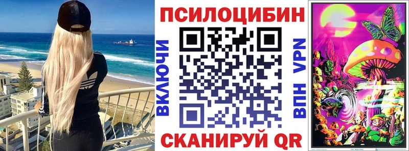 сколько стоит  Армянск  Галлюциногенные грибы Psilocybine cubensis 